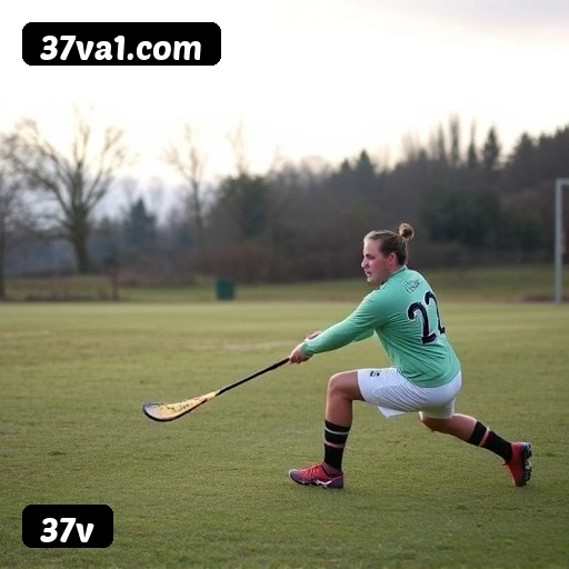 6 vantagens exclusivas do programa VIP da 37v