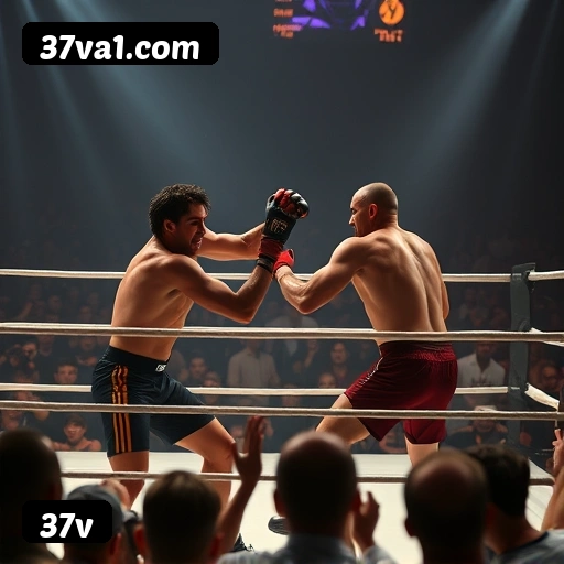 Níveis do programa VIP da 37v